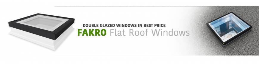 Flat Roof Windows